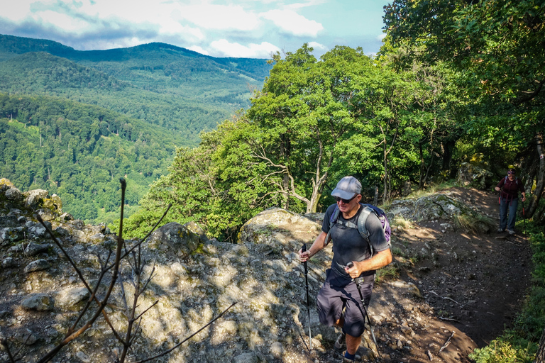 Ansa del Danubio: tour con trekking di 1 giorno da Budapest