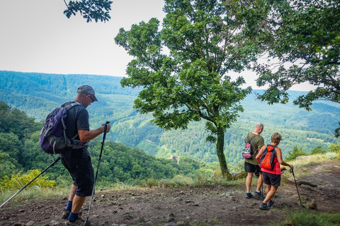 Ansa del Danubio: tour con trekking di 1 giorno da Budapest