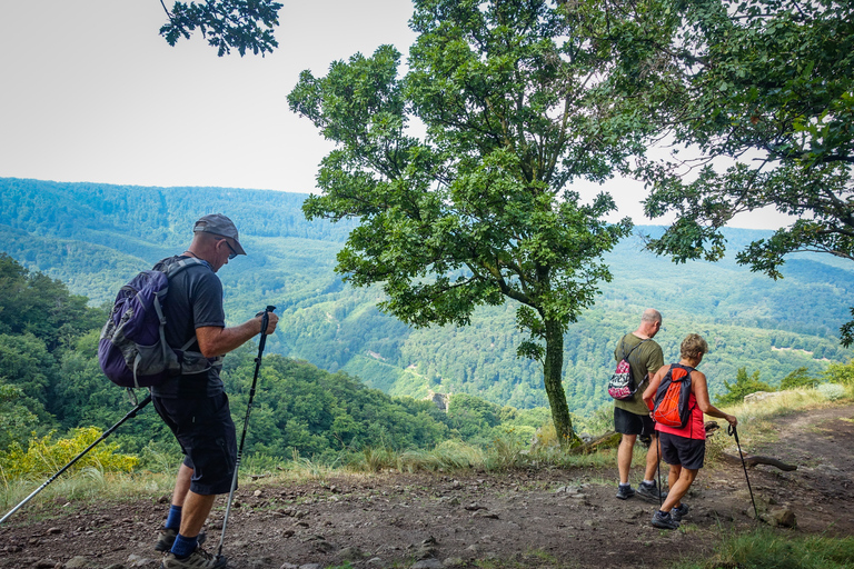 Curva do Danúbio: excursão de caminhada de dia inteiro saindo de Budapeste