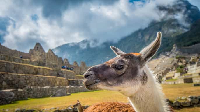 cusco machu picchu small group tour with tickets