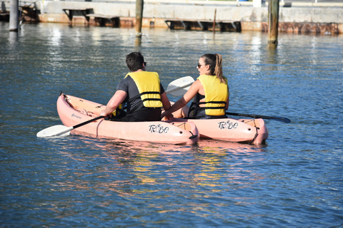 Miami: alquiler de deportes de pádelKayak o Paddle: Pase Express