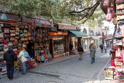 Bosporus-tour met lunchBosporus en de twee continenten-tour