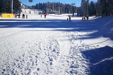 Desde Belgrado: Parque nacional y estación de esquí de Kopaonik - día completoDesde Belgrado: Parque Nacional y Estación de Esquí de Kopaonik - día completo