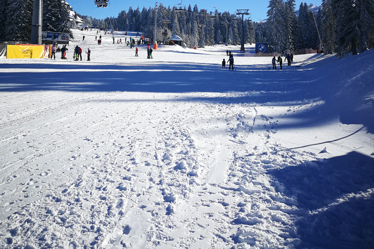 De Belgrado: Parque nacional Kopaonik e estação de esqui - dia inteiroDe Belgrado: parque nacional Kopaonik e estação de esqui - dia inteiro