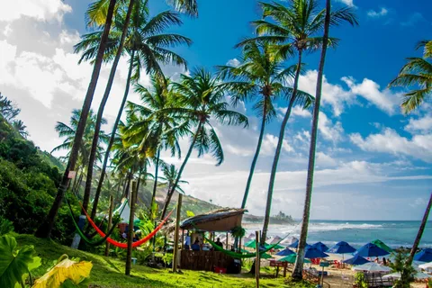 Von Natal: Pipa Beach Ganztagesausflug