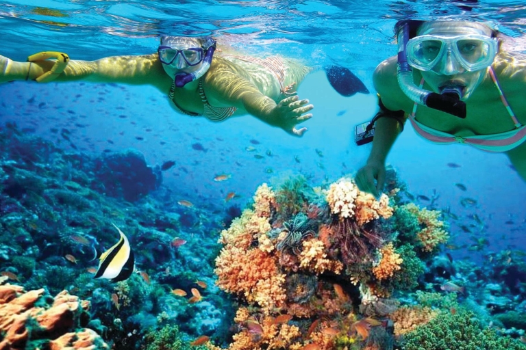 Cancun: Isla Mujeres Catamaran Tour met Reef Snorkeling