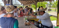 Cozumel, Tour Buggy privado con almuerzo y snorkeling - Hizvo