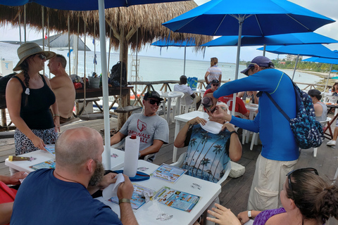 Cozumel: Prywatna wycieczka buggy z lunchem i snorkelingiemOpcja standardowa