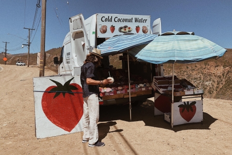 Malibu: Zabytkowa wycieczka VW Hippie z degustacją winaMalibu: Vintage VW Hippie Wine Tasting Tour