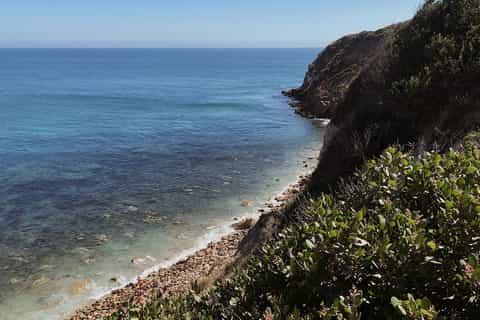 Malibu: Vintage VW Hippie Sightseeing Tour with Wine Tasting