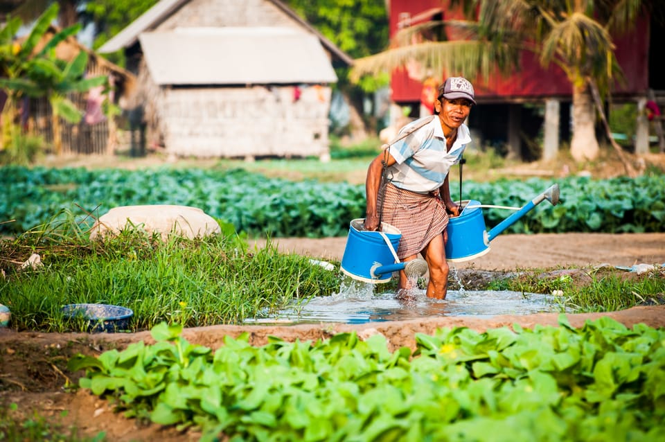 Siem Reap Visite Guid E De La Campagne V Lo Avec Guide Et Collations Locales Getyourguide