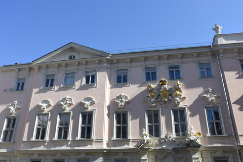 Vienne: visite privée guidée des musées juifsVisite privée de 4 heures avec visite de la synagogue et du cimetière