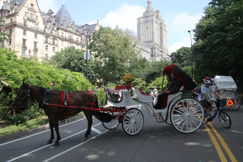 Romantic/Proposal Central Park Carriage Tour Up to 4 Adults | GetYourGuide