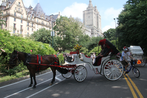 Romantico/Proposta Tour in carrozza a Central Park Fino a 4 adultiNew York City: romantico giro in carrozza a Central Park