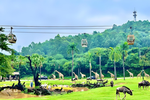 Guangzhou: Chimelong Wildlife & Paradise 2-Day Combo Ticket