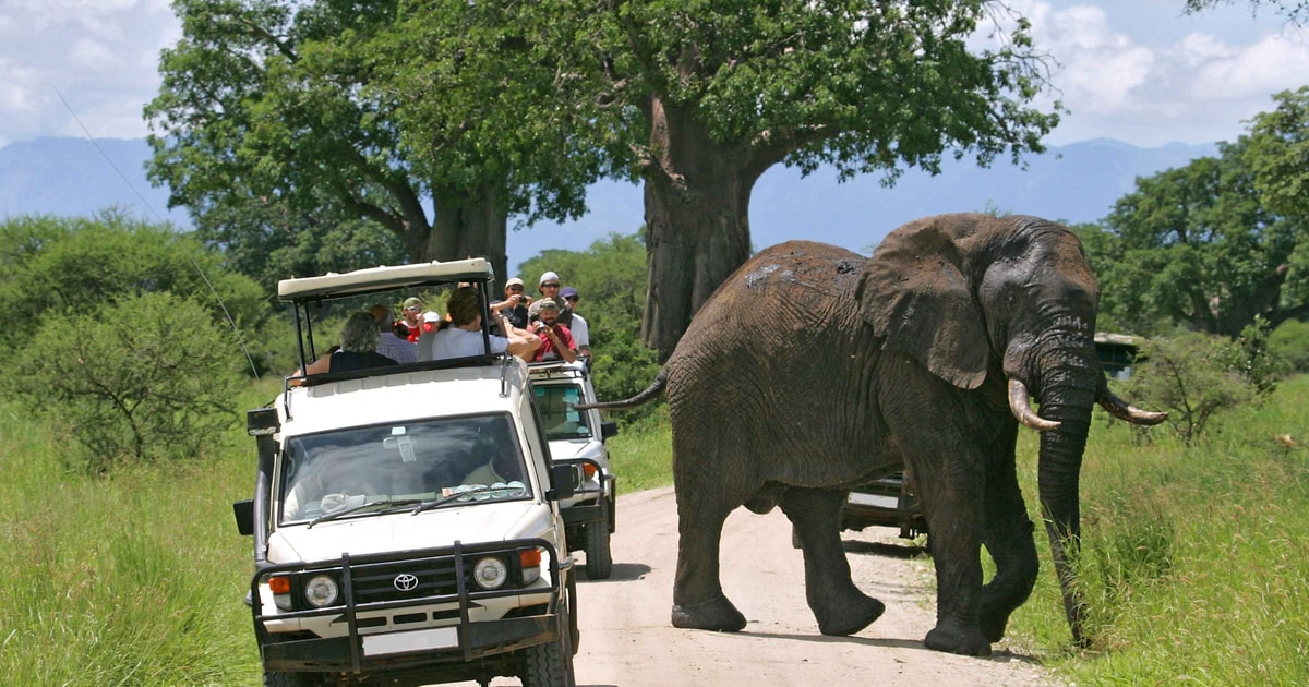 From Nairobi: 2-Day Amboseli National Park Safari