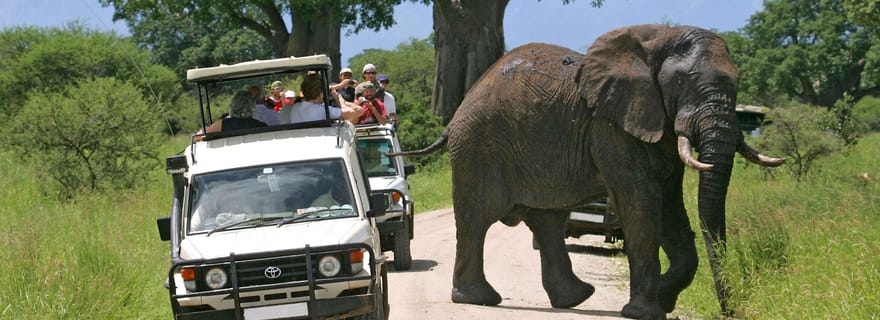 Au départ de Nairobi : Safari de 2 jours dans le parc national d'Amboseli