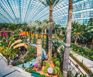 Singapore: Gardens by the Bay & MBS Observation Deck Ticket