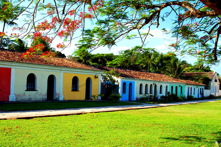 Salvador: Round-Trip Airport Transfer (SSA) and City Tour Spanish speaking guide