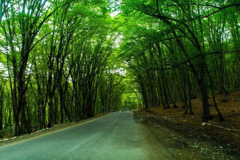 Discover Azerbaijan: 6-Day Private Tour from Baku Option 3 – Standard Package (8–18 Pax)