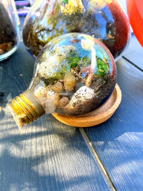 Terrarium Workshop - Housity