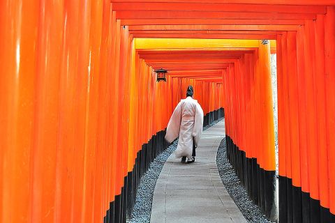 Kyoto: Tagestour zu den Highlights der Stadt