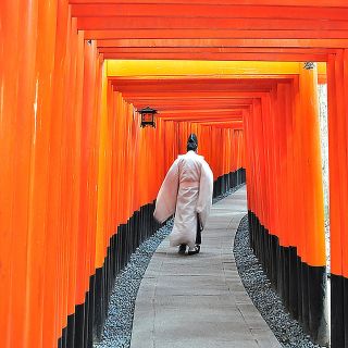 Kyoto: Top Hoogtepunten Volledige dagtrip