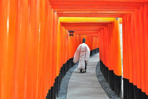 Kioto: Excursión de un día completo a lo más destacadoTour con almuerzo estándar