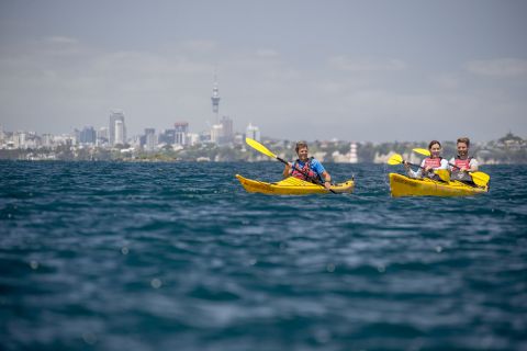 Auckland: excursion en kayak de mer au coucher du soleil et de nuit sur l'île de Rangitoto