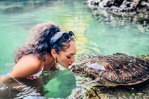 Zanzibar: Kizimkazi delfintur och havssköldpaddsreservatAlternativ med upphämtning på södra delen av Zanzibar