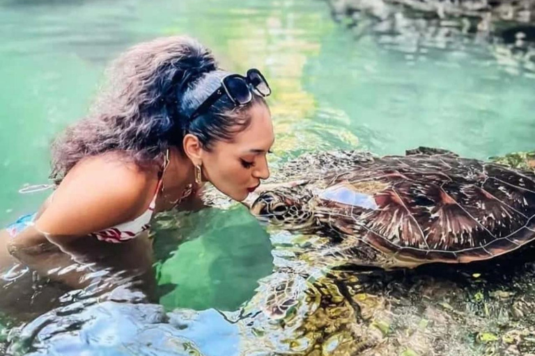 Zanzibar: Kizimkazi delfintur och havssköldpaddsreservatAlternativ med upphämtning på södra delen av Zanzibar