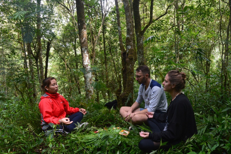 Kintamani: Yoga & Meditation zum Sonnenaufgang