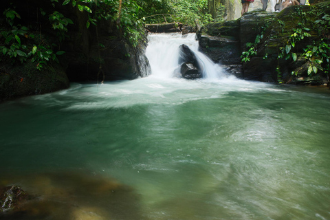 From São Paulo: Oyster Trail and My God Waterfall