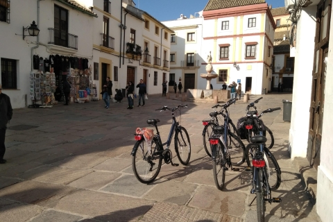 Excursion à vélo dans la ville