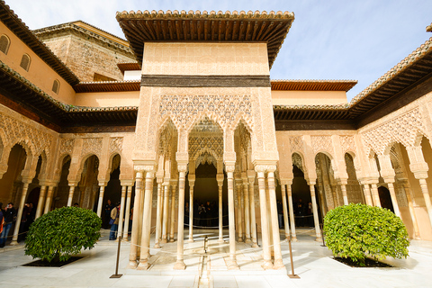 Alhambra, Palácios Nasridas e Generalife: tour guiado de 3 horasExcursão Particular