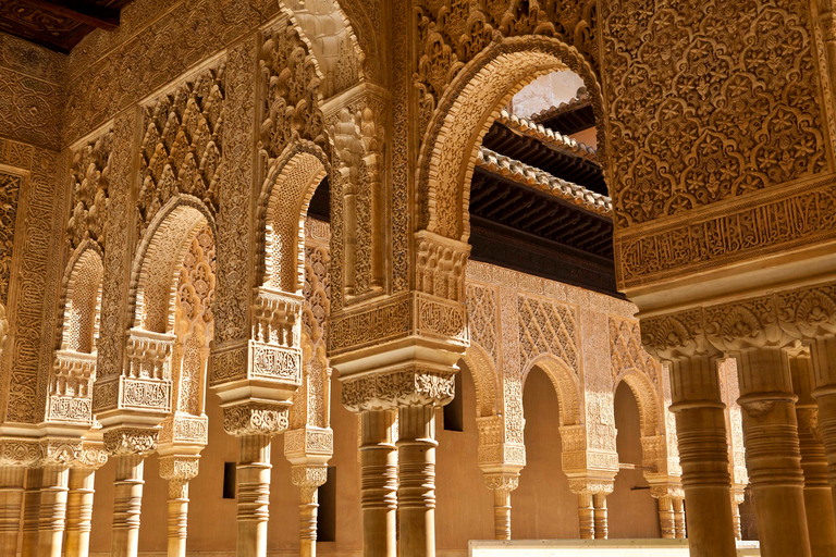 Alhambra, Palácios Nasridas e Generalife: tour guiado de 3 horasExcursão Particular