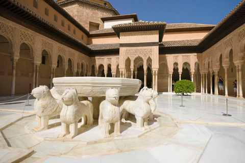 Alhambra, Palácios Nasridas e Generalife: tour guiado de 3 horasExcursão Particular