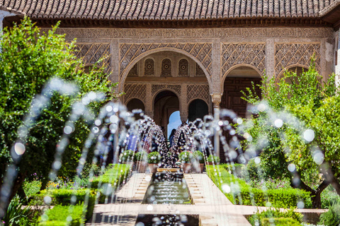 Alhambra, palais nasrides et Generalife : visite guidée de 3 heuresVisite privée