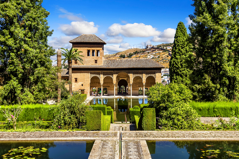 Alhambra, Palazzi Nasridi e Generalife: tour guidato di 3 oreTour privato