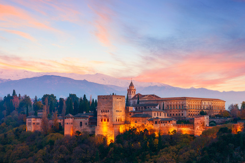 Alhambra, Palazzi Nasridi e Generalife: tour guidato di 3 oreTour privato