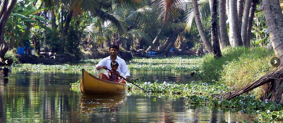 Cochin: Half-Day Backwater Village Eco Boat Cruise W/ Lunch | GetYourGuide