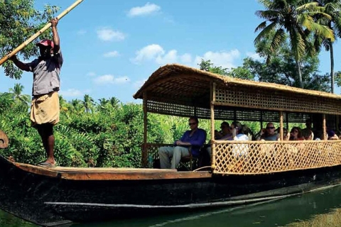 Cochin: Half-Day Backwater Village Boat Cruise with Lunch Private Transportation and Shared Cruise