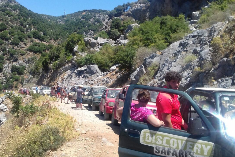 Jeep safari na południe wyspy, do plaży palmowej i wąwozów