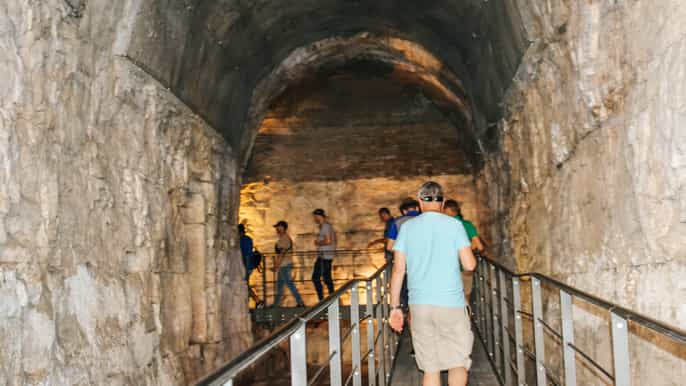 rome colosseum dungeon forum palatine hill vip tour