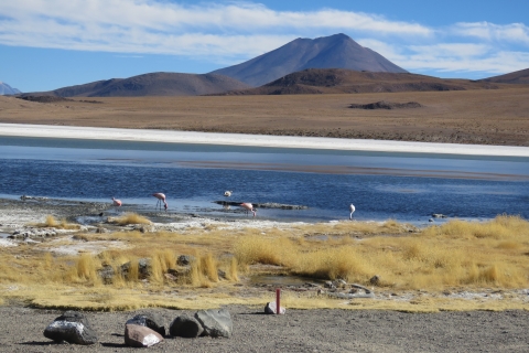 La Paz: 5-tägige Salar de Uyuni Bustour
