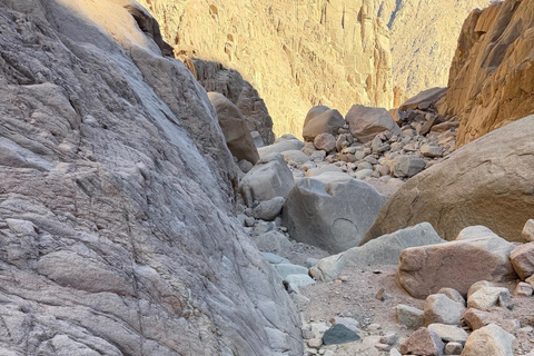 Hurghada: Mount Shaib El Banat Tour with Sandboarding Sand boarding and hiking & camel ride