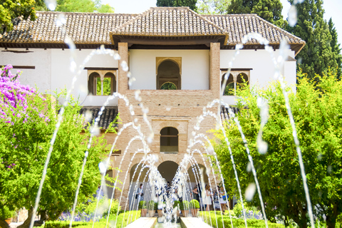 Granada: Excursão particular a Alhambra, Nasrid e GeneralifeGranada: Excursão Particular à Alhambra, Palácios Nasridas e Generalife