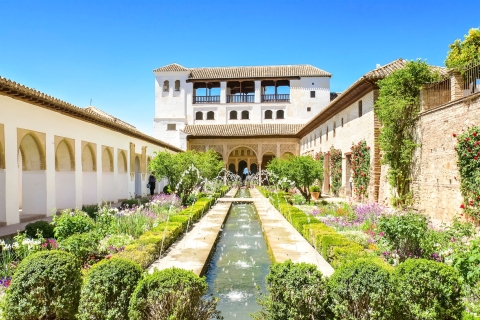 De la Costa del Sol : Grenade, Alhambra et palais nasridesDepuis Torremolinos