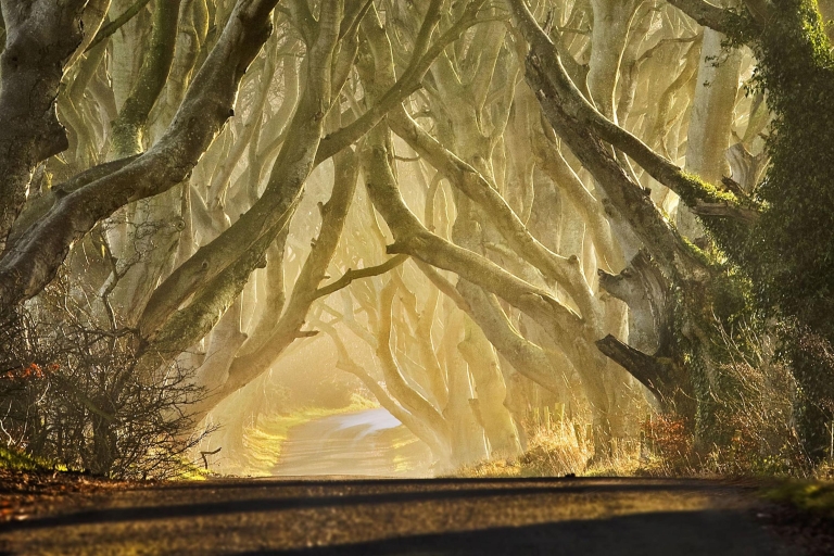 Van Derry: Game of Thrones en Giant's Causeway Tour