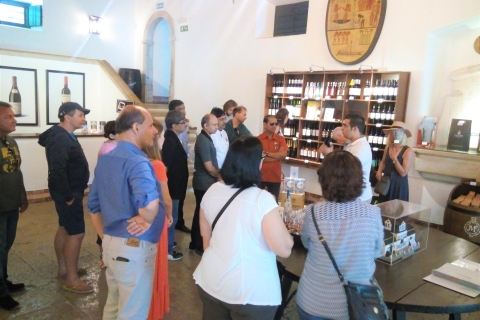 Arrabída Park with Wine, Cheese, and Pastry Tasting Private Full-Day Tour